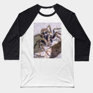 What's Shakin' Spidey? Jumping Spider Macro Photograph Baseball T-Shirt